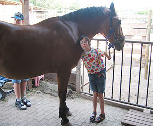 Ein Kind auf einem Pferd gefhrt von 2 weitern